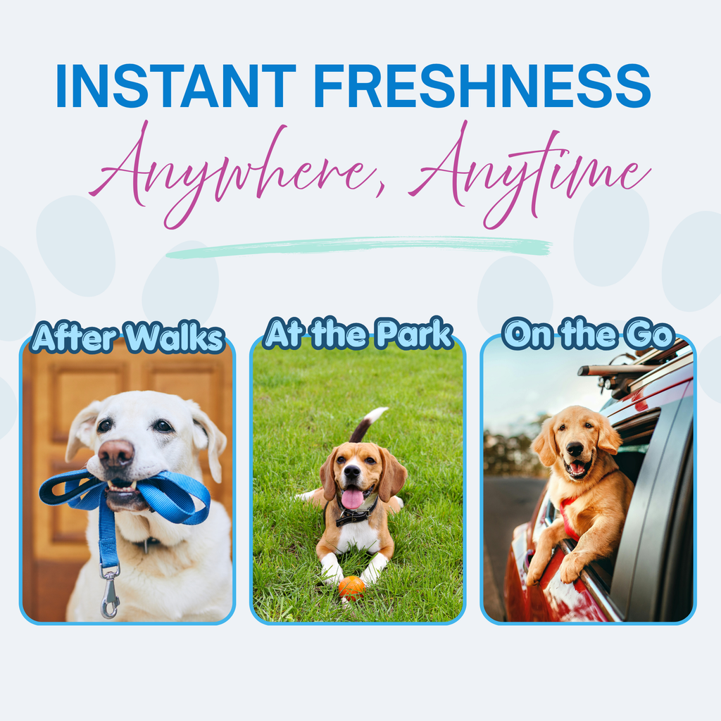 FRESH & CLEAN