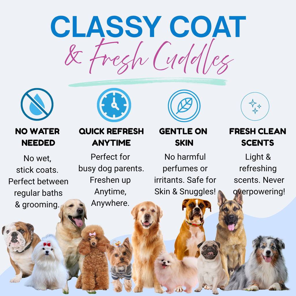 FRESH & CLEAN